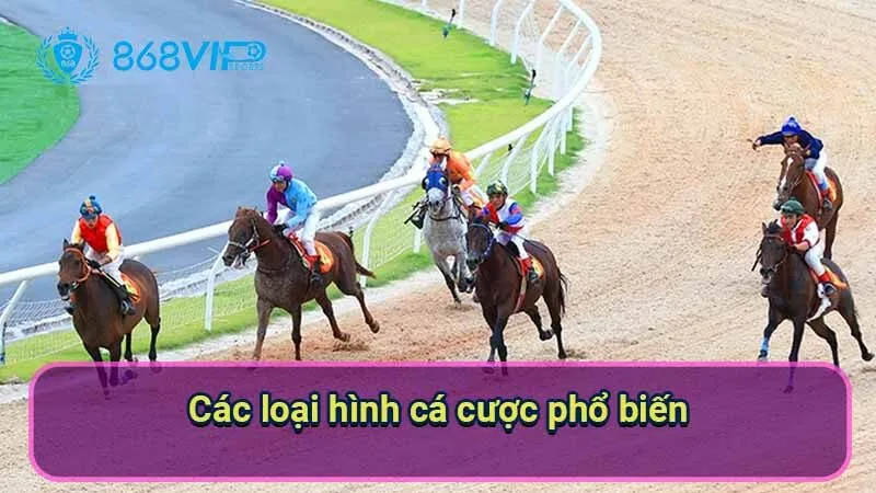 Cá Cược Đua Ngựa - Niềm Đam Mê Bất Tận Không Biên Giới 6 cac-loai-hinh-ca-cuoc-pho-bien