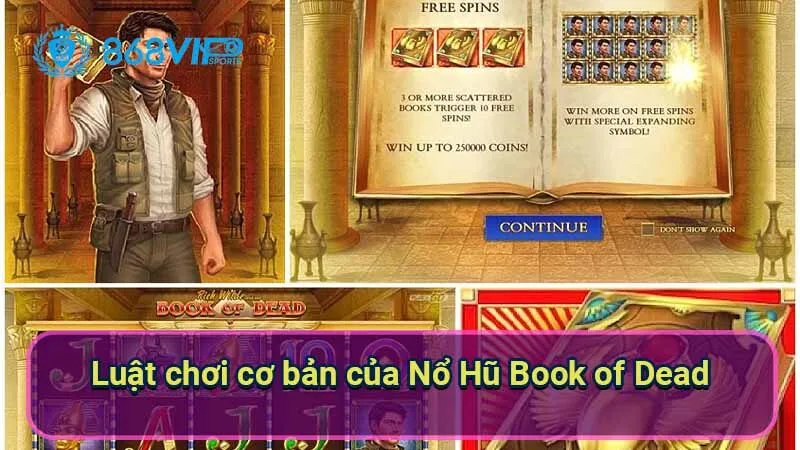 Nổ Hũ Book Of Dead - Khám Phá Một Thế Giới Huyền Bí 6 luat-choi-co-ban-cua-no-hu-book-of-dead