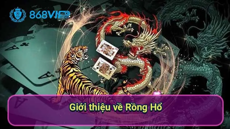 Rồng Hổ - Trải Nghiệm Cá Cược Đầy Kịch Tính Từ Châu Á 5 gioi-thieu-ve-rong-ho